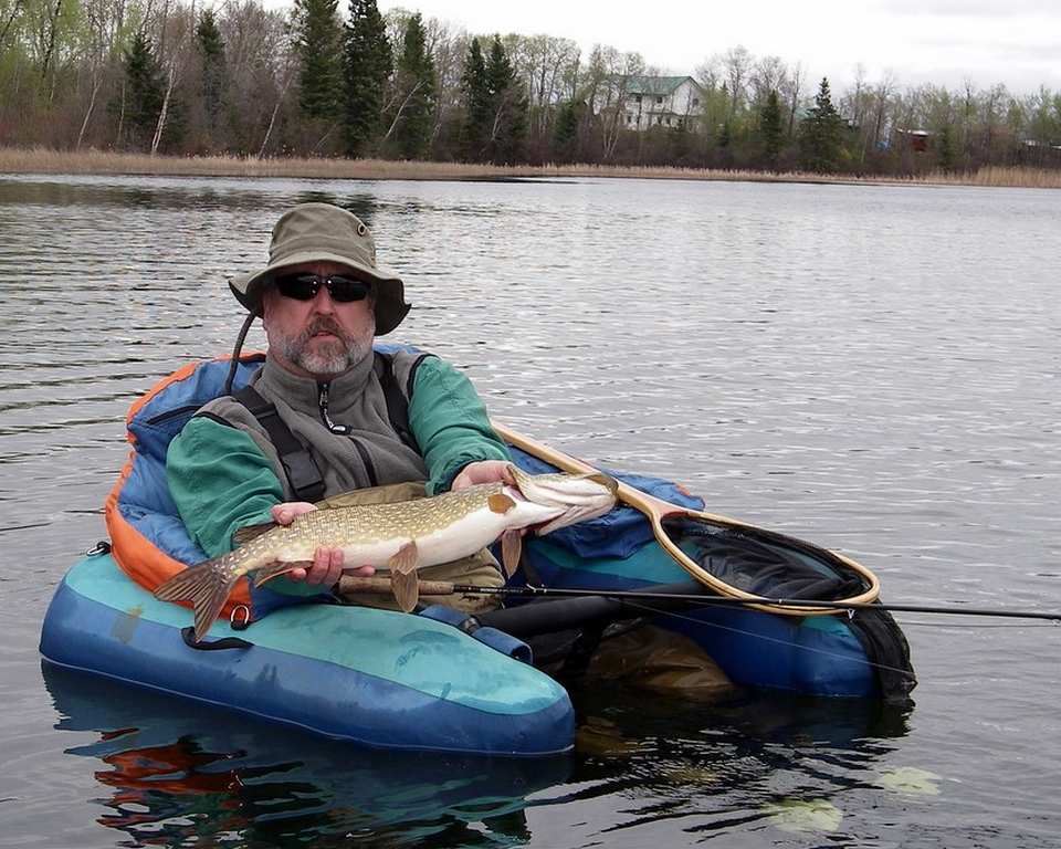 A pike in Nesland Lake stocked with trout