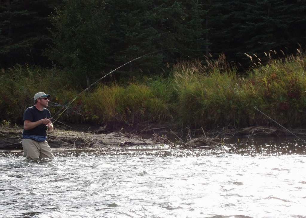 Arctic Grayling fishing - fast water is where you find them.