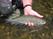 A nice Cut-bow from the Crowsnest River.